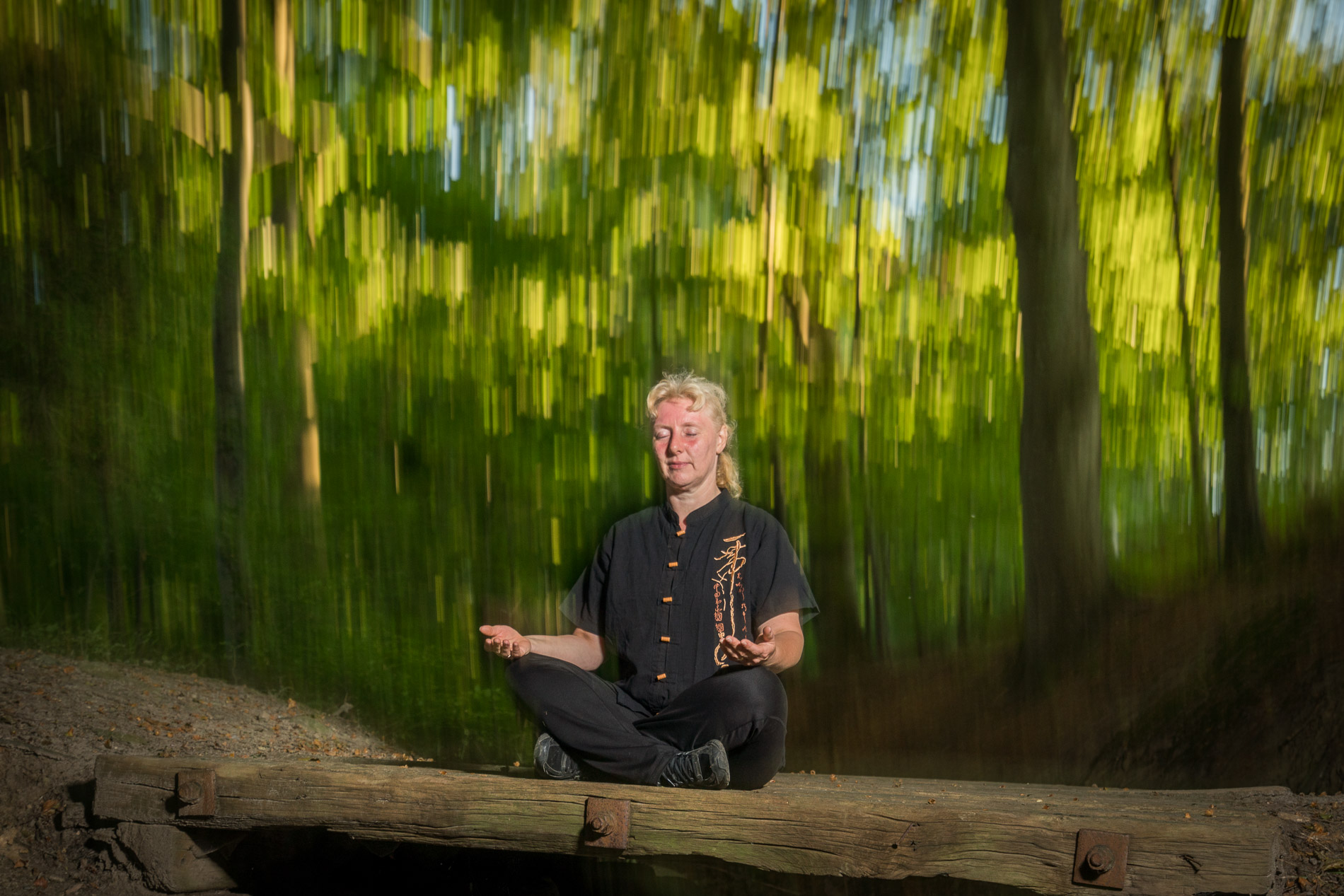 Tai Chi og Qi Gong